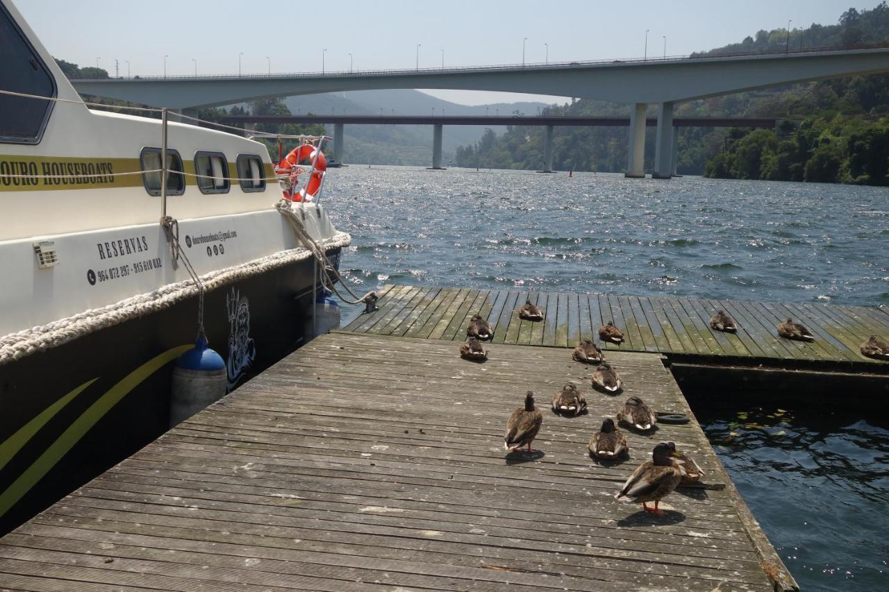ホテル Douro Houseboats Marco de Canavezes エクステリア 写真